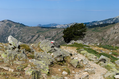 gr20_corse_jl_1dx_25-07-2016-0949.jpg