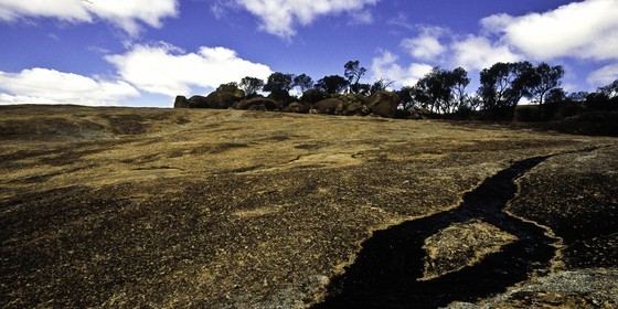 wave-rock_99.jpg