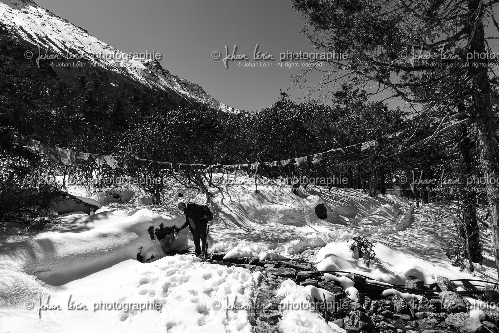 nepal_rolwaling-and-khumbu-area_way-to-tengboche_22-02-2013-37141.jpg