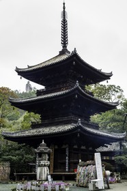 ishiteji_temple-51_shikoku_japon_30-03_2014-3474.jpg