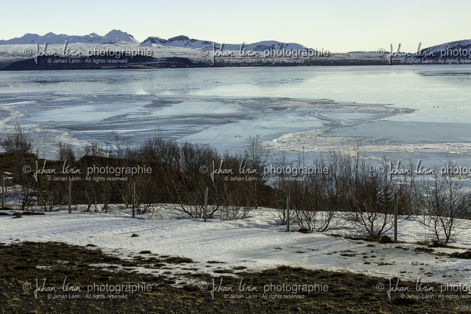 pingvellir_islande_20-03-2015-2861.jpg