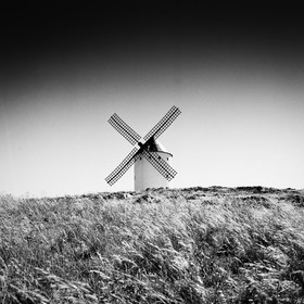 alcazar-de-san-juan_molinos1.jpg