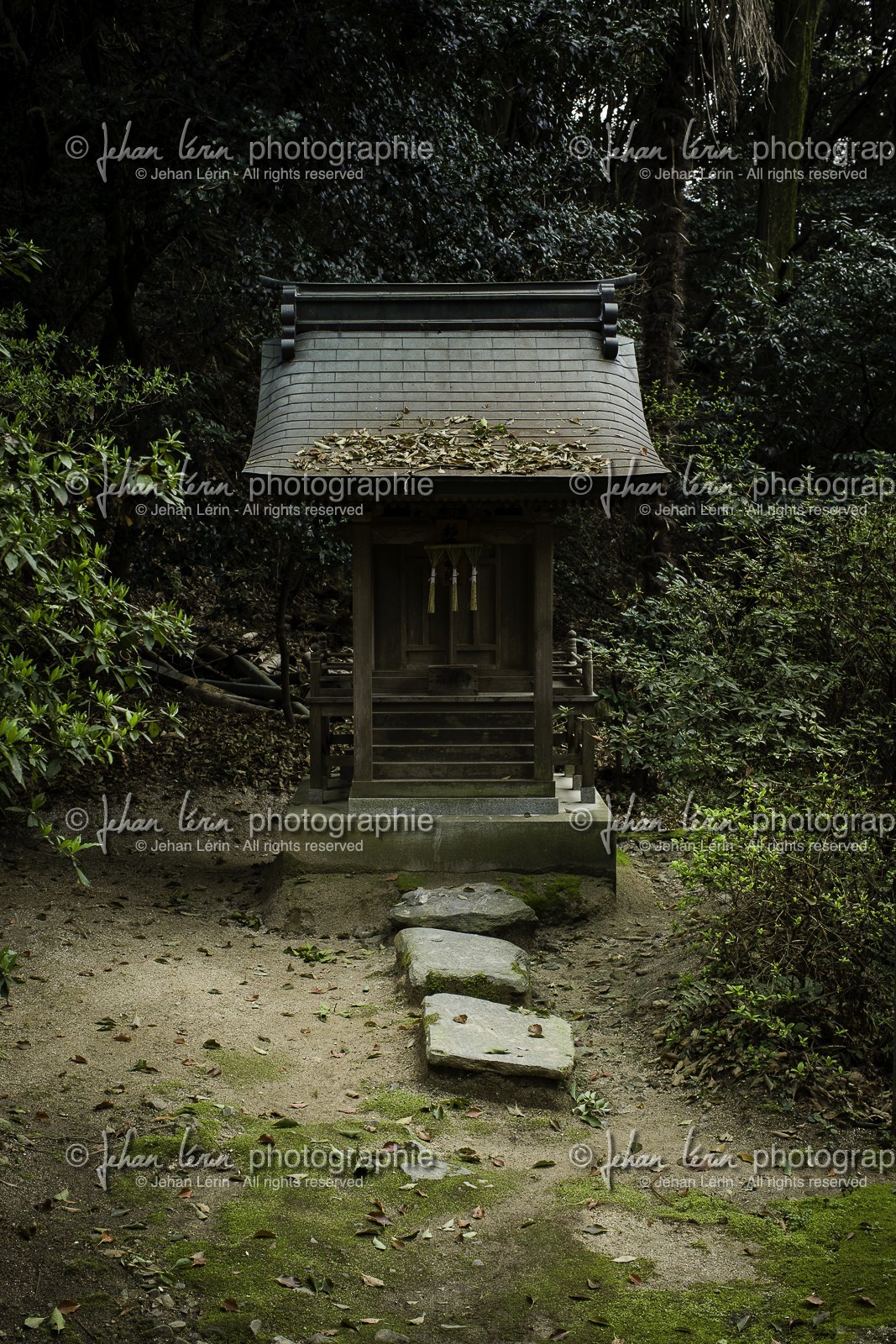 maegamiji_temple-64_shikoku_japon_02-04_2014-3734.jpg