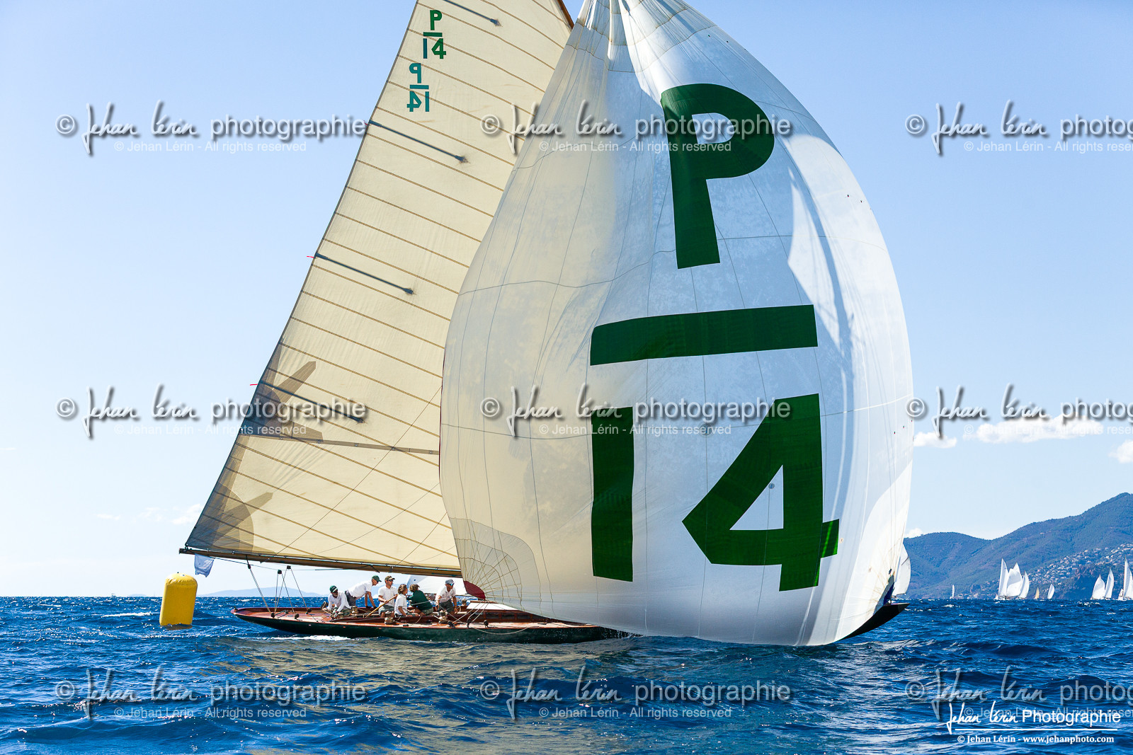 Régates Royales 2025