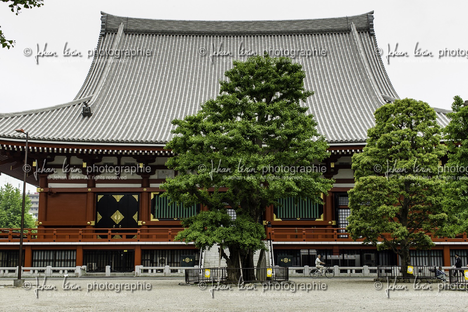asakusa_tokyo_japon_jl_1dx_05-05-2014-6296.jpg