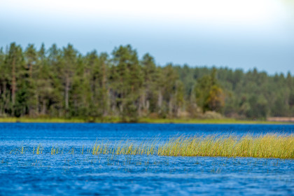 Finlande