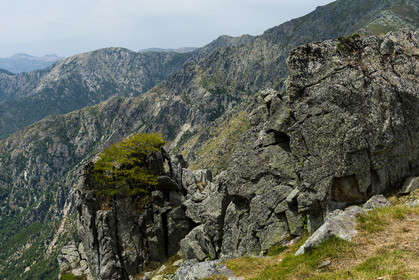 gr20_corse_jl_1dx_22-07-2016-0717.jpg