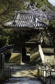 iyadaniji_temple-71_shikoku_japon_06-04_2014-4022.jpg