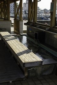 katsuura_kansai_japon_26-04-2014-5722.jpg