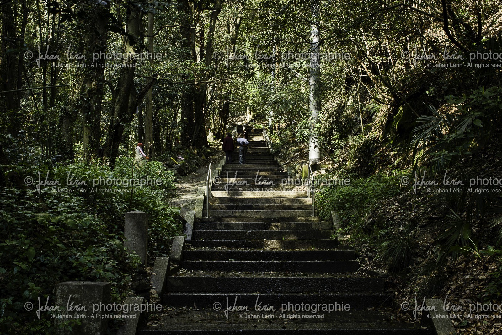 iyadaniji_temple-71_shikoku_japon_06-04_2014-4002.jpg