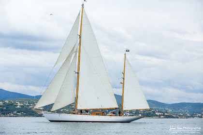 Les Dames de St Tropez
