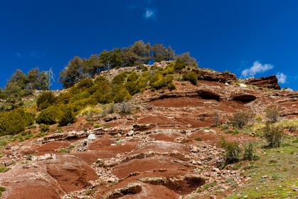 trek-loueve-dome-du-barrot-amen-loueve_alpes-maritimes_1dx_05-05-2016-2709.jpg