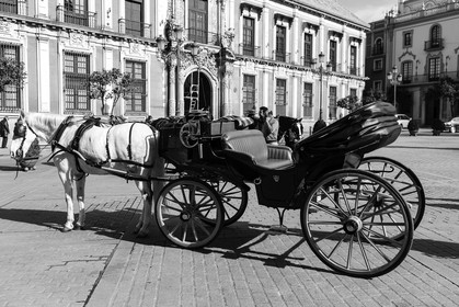 sevilla_19-01-2010-8200.jpg