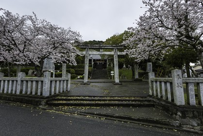 en-route-vers_temple-51_shikoku_japon_30-03_2014-0781.jpg