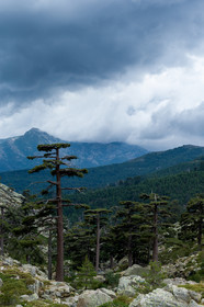 gr20_corse_jl_1dx_25-07-2016-0973.jpg