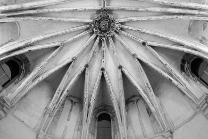 sevilla_19-01-2010-8109.jpg