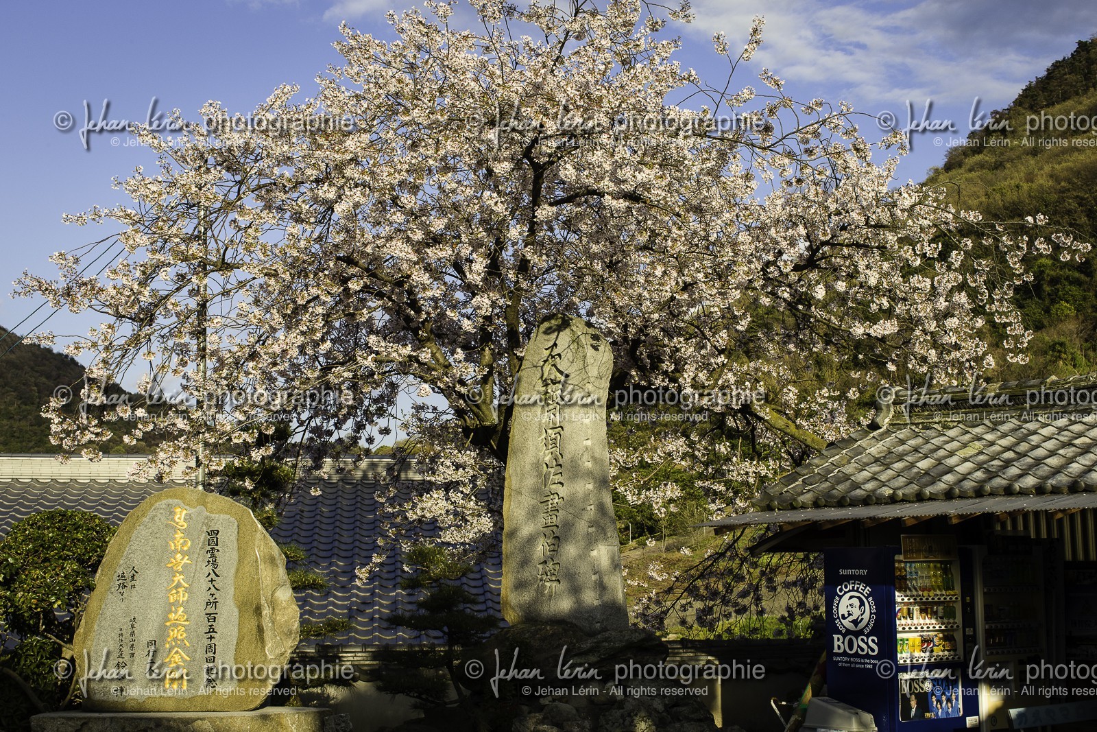 shusshakaji_temple-73_shikoku_japon_06-04_2014-4101.jpg