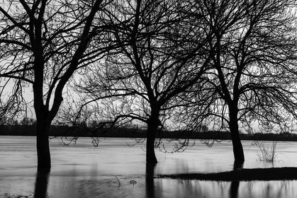 la-possonniere_maine-et-loire-_-france_23-12-2012-35635.jpg