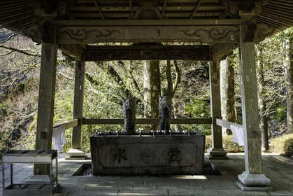 tairyuji_temple-21_shikoku_japon_11-03_2014-2322.jpg