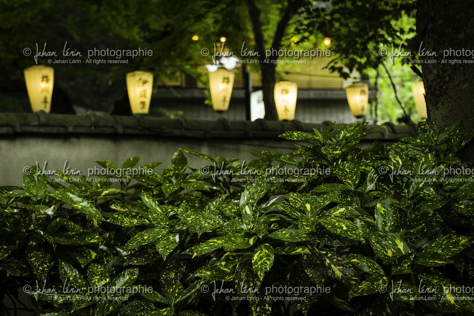 ueno_tokyo_japon_jl_1dx_05-05-2014-6256.jpg
