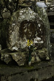 unpenji_temple-66_shikoku_japon_05-04-2014-3861.jpg
