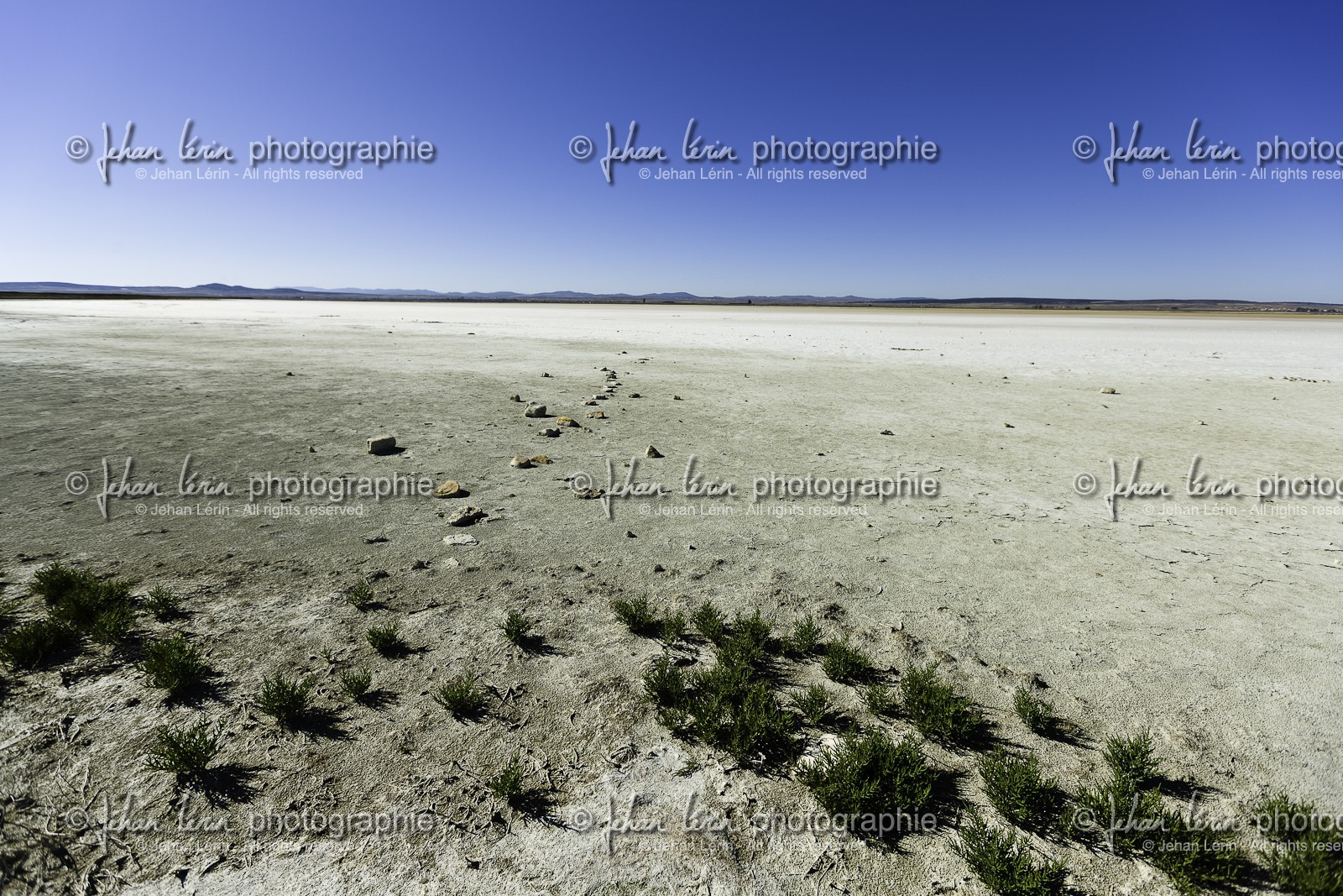 laguna-de-gallocanta_15-10-2009-5600.jpg