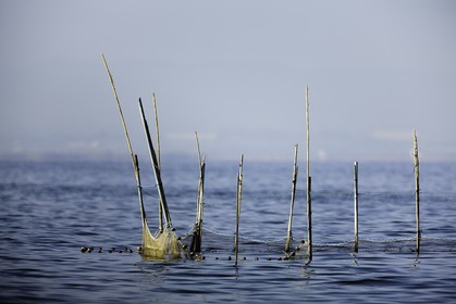 l-albufera_20-01-2011-2056.jpg