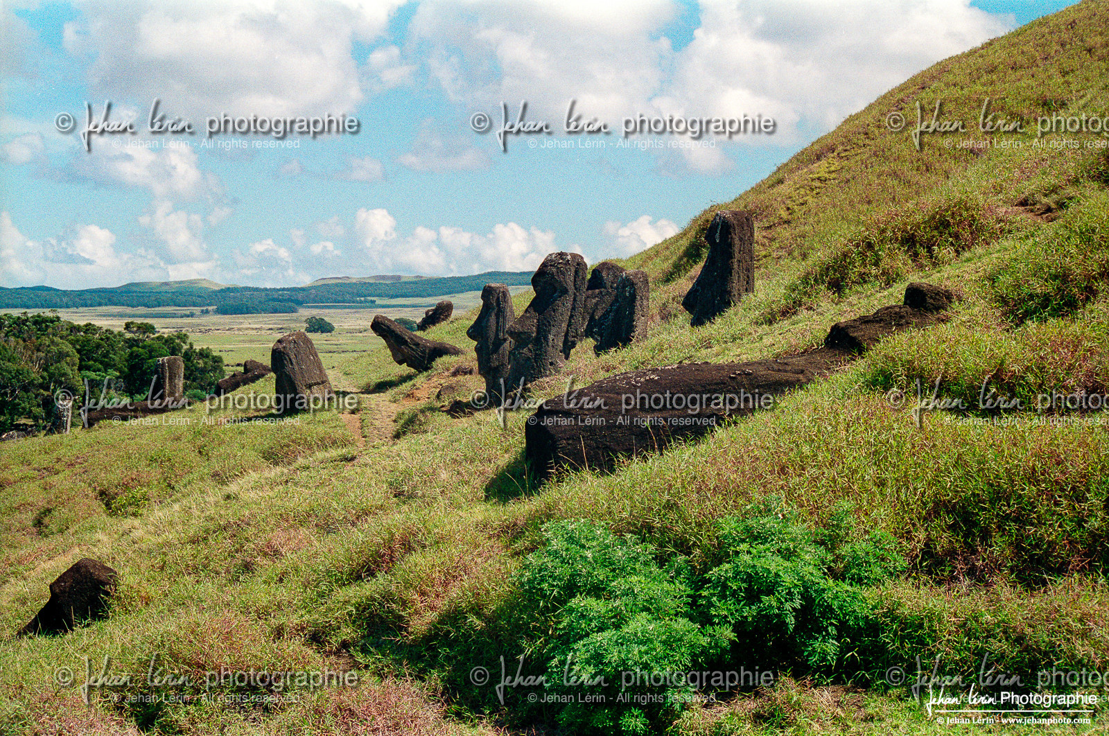 Easter Island - Île de Pâques