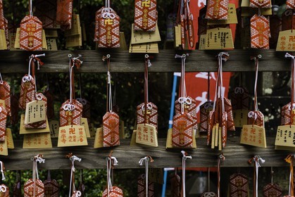 gokurakuji_temple-2_shikoku_japon_05-03_2014-1713.jpg