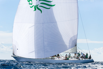 Régates Royales 2025