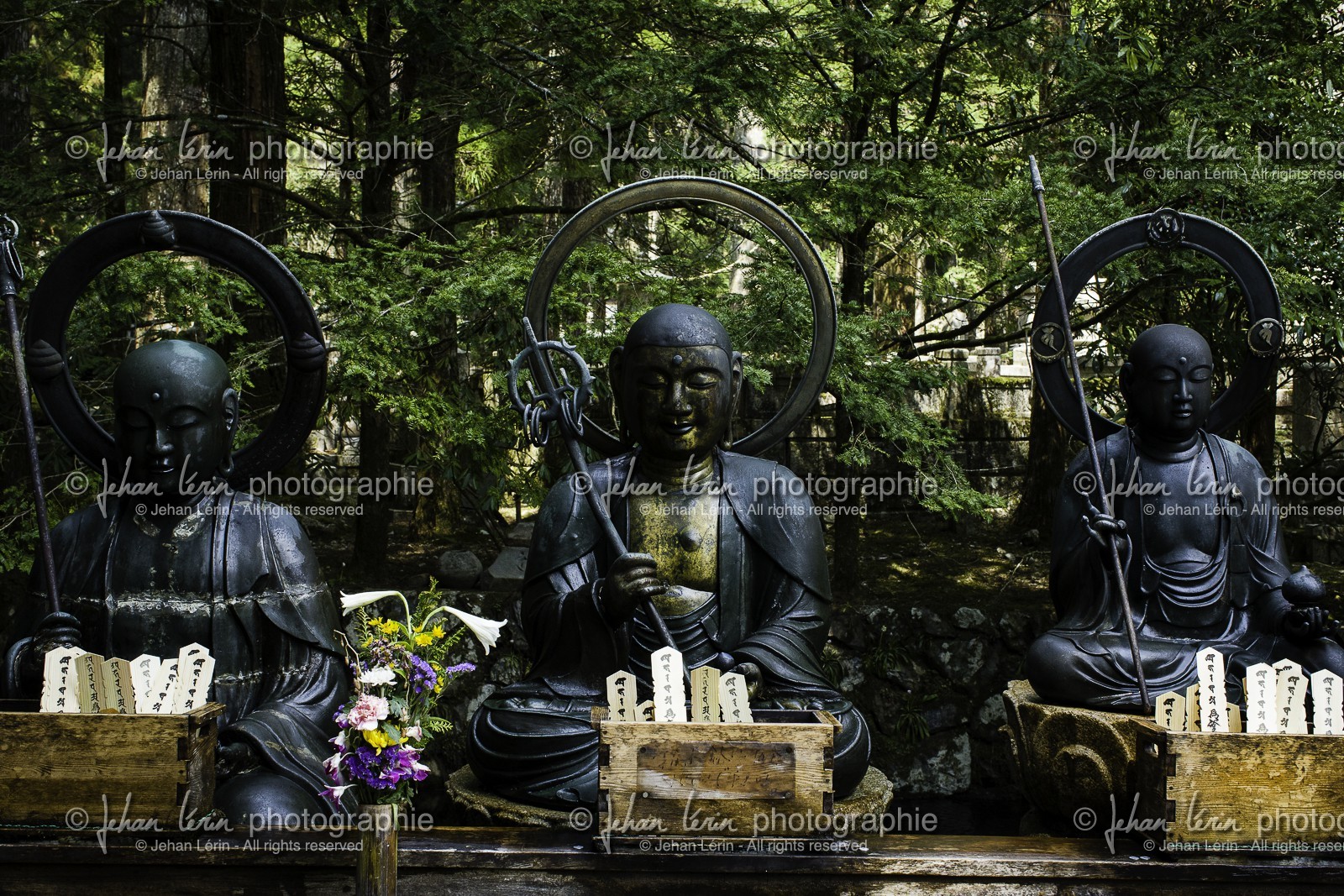 koyasan_japon_jl_1dx_17-04-2014-5289.jpg