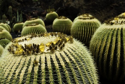 lanzarote_05-06-2011-0167-2-680-812.jpg
