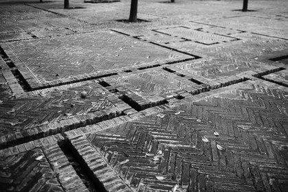 sevilla_19-01-2010-8065.jpg