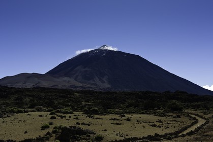 tenerife_avril_2010-1231.jpg