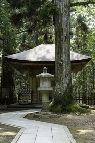 koyasan_japon_jl_1dx_17-04-2014-5263.jpg