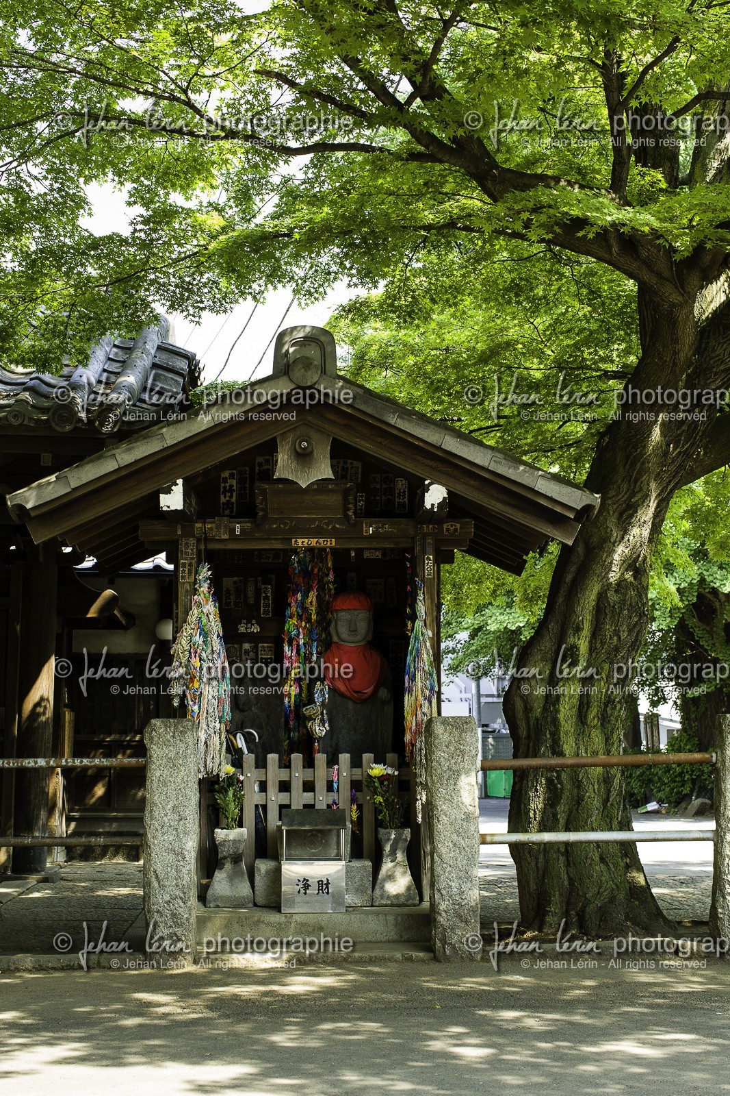 yanaka_ueno_tokyo_japon_jl_1dx_07-05-2014-6428.jpg