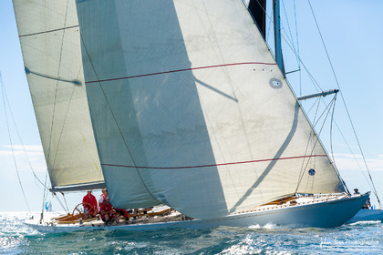 Régates Royales 2024