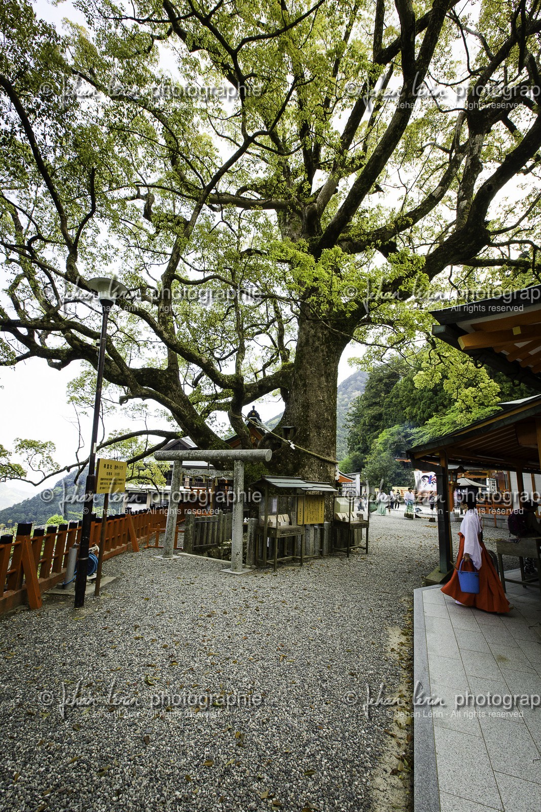 kumano-nachi-taisha_kumano-kodo-pilgrimage_japon_25-04-2014-1425.jpg