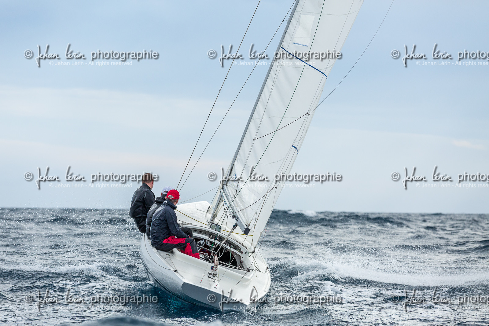 Armistice Cup Dragon 2022