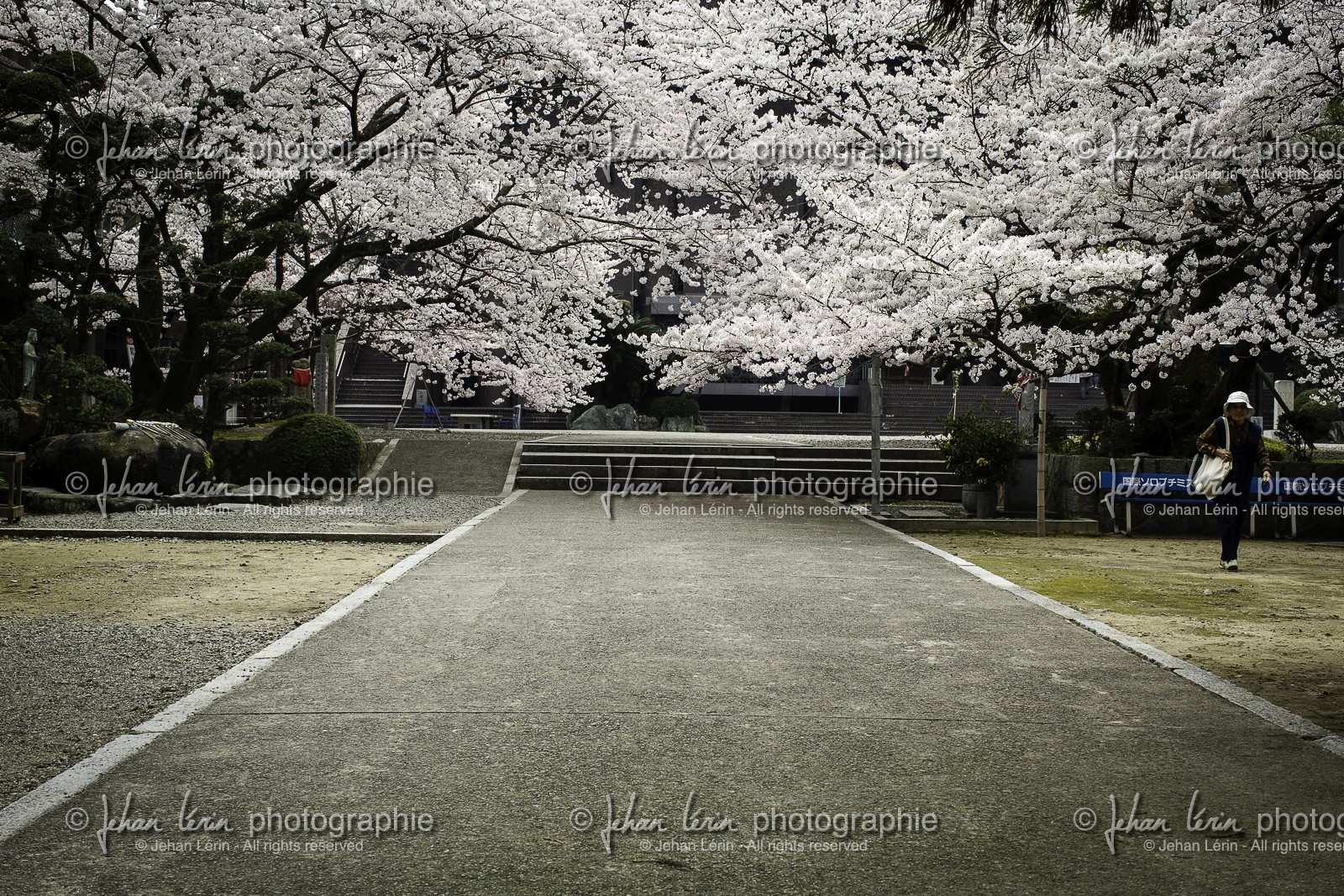 kouoji_temple-61_shikoku_japon_02-04_2014-3647.jpg