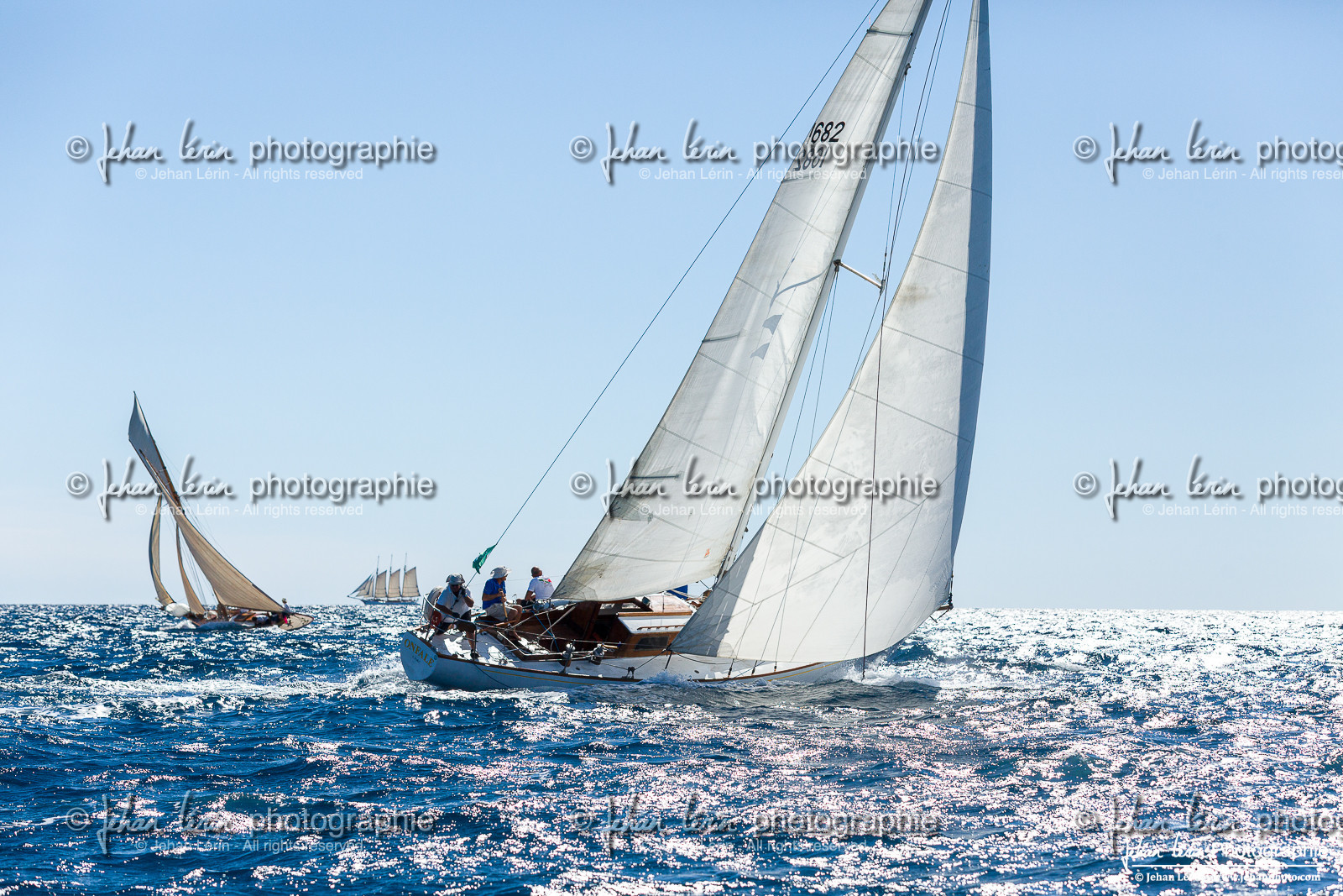 Régates Royales 2025