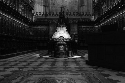 sevilla_19-01-2010-7987.jpg