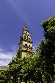 cordoba_esp_23-04-2012-1419.jpg