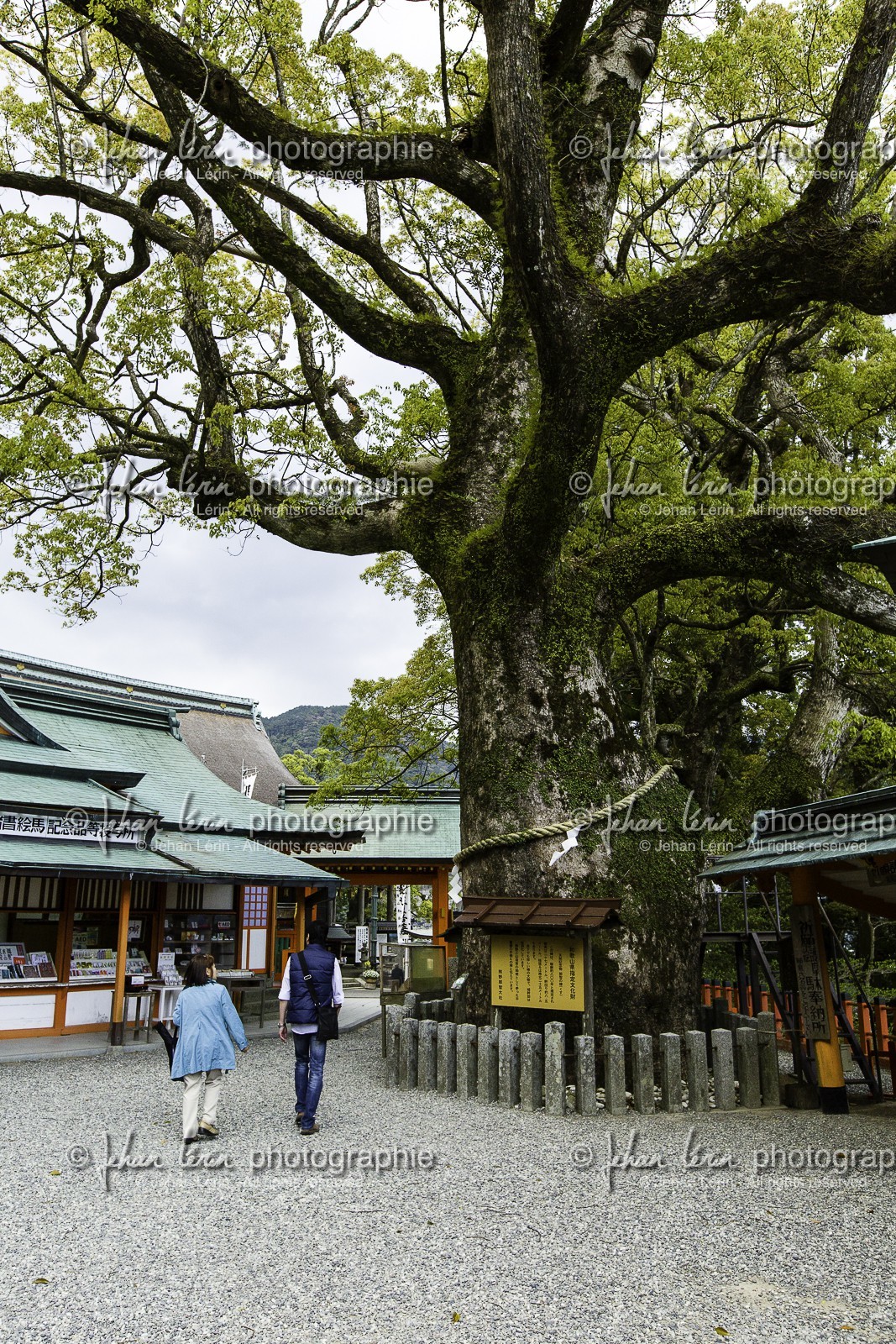 kumano-nachi-taisha_kumano-kodo-pilgrimage_japon_25-04-2014-1456.jpg