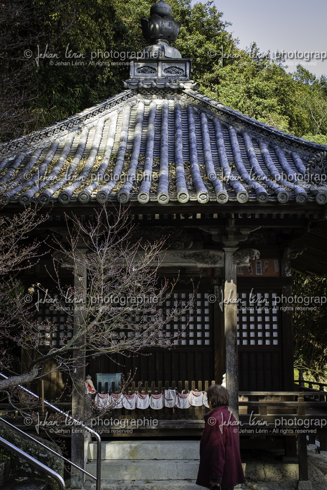 iyadaniji_temple-71_shikoku_japon_06-04_2014-4023.jpg