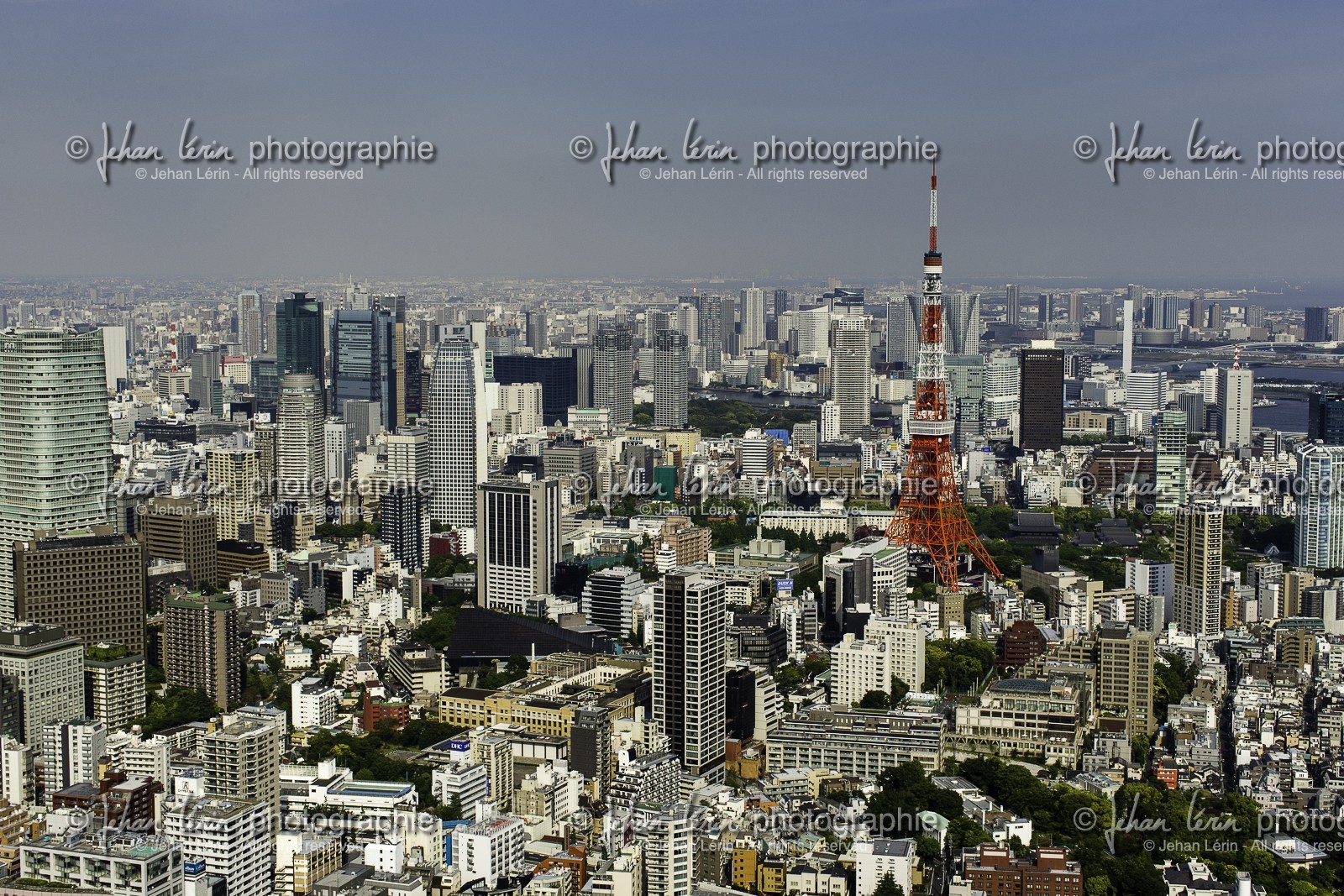 roppongi_tokyo_japon_jl_1dx_04-05-2014-6138.jpg