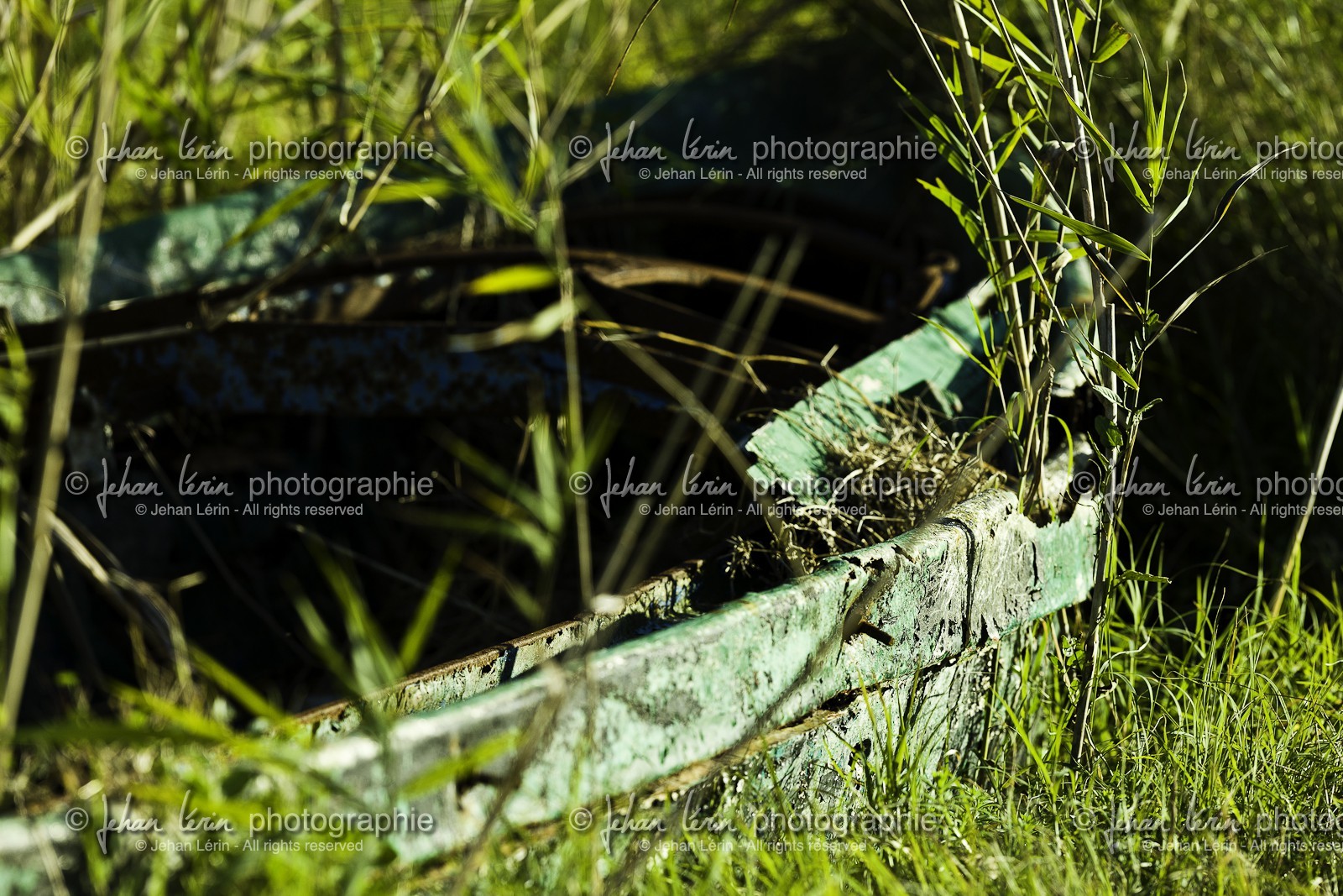 l-albufera_valencia_23-12-2009-7391.jpg
