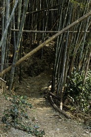 en-route-vers_temple-19_shikoku_japon_09-03_2014-2177.jpg