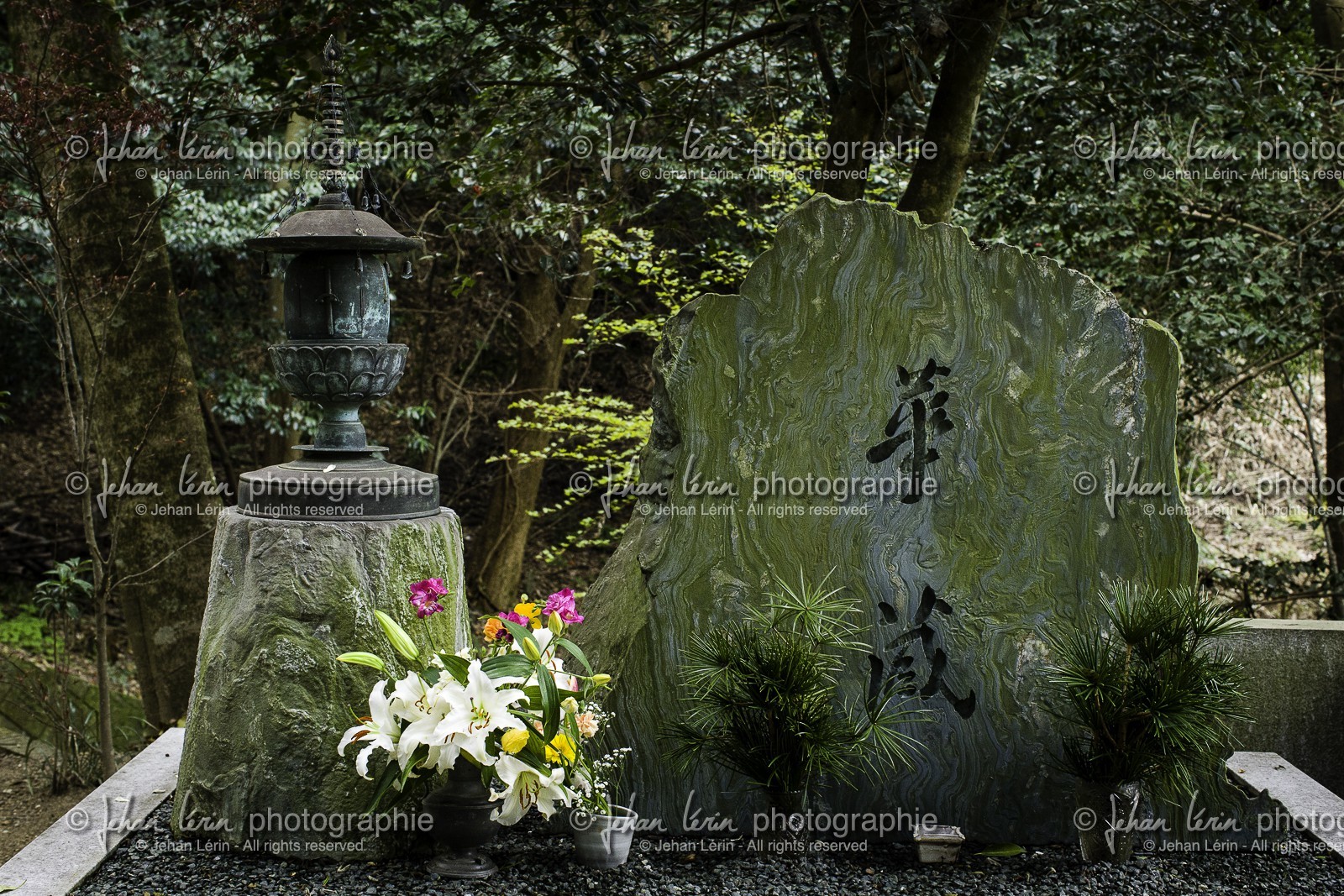 maegamiji_temple-64_shikoku_japon_02-04_2014-3736.jpg