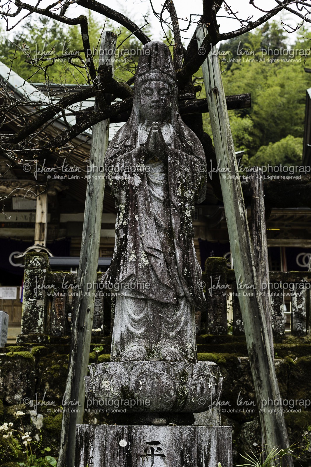 kiyotakiji_temple-35_shikoku_japon_18-03_2014-2811.jpg